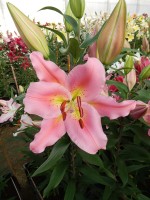 [4365 Roberta DJ No202.JPG]